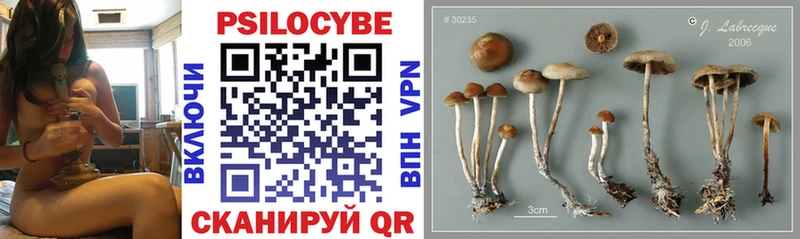 Галлюциногенные грибы мицелий  Купить где  Яранск 